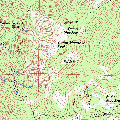 Topographic Map of Onion Meadow Peak, CA