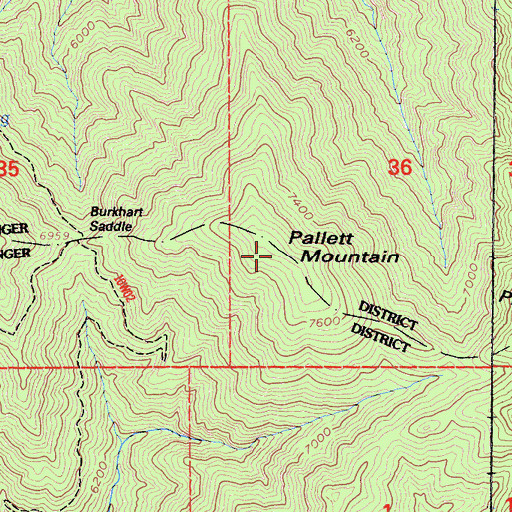 Topographic Map of Pallett Mountain, CA