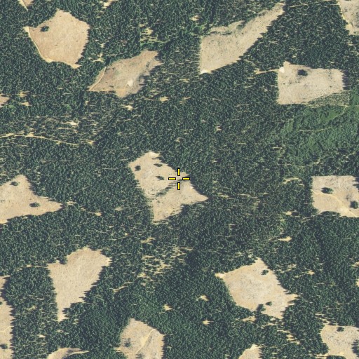 Aerial/Satellite Image of Cherry Thicket, CA