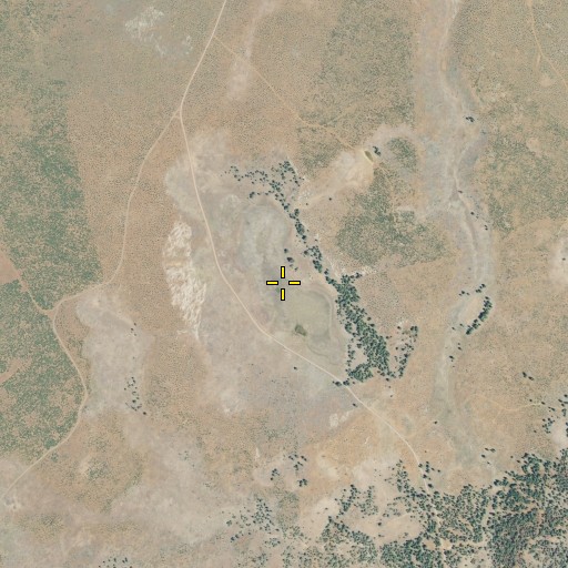 Aerial/Satellite Image of Government Lake, CA