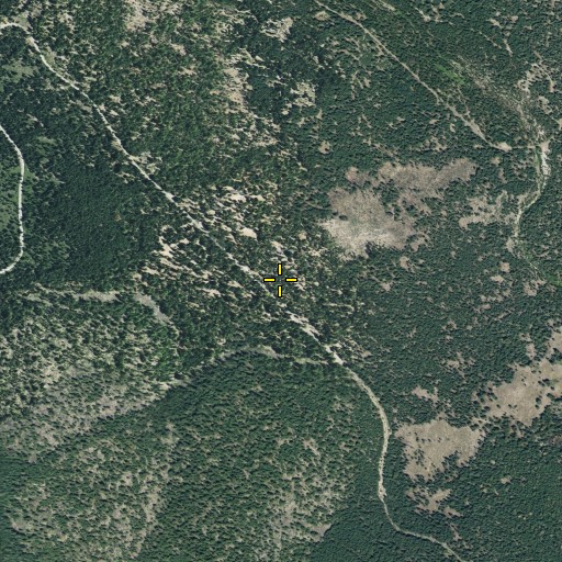 Aerial/Satellite Image of Lost Creek Organization Campground, CA