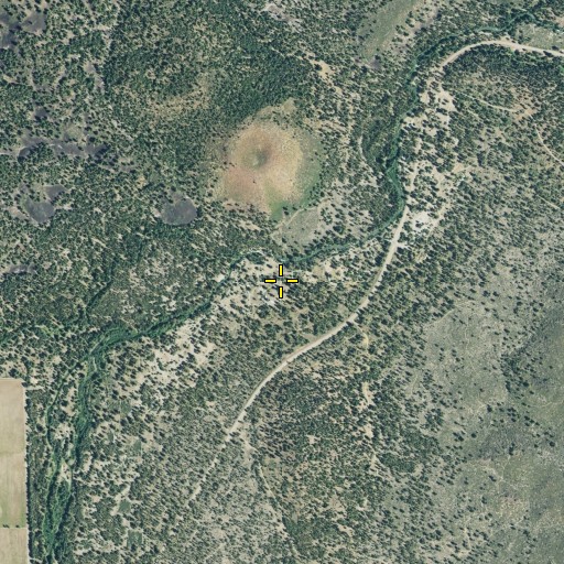 Aerial/Satellite Image of Old Station Campground, CA
