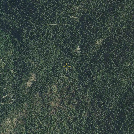 Aerial/Satellite Image of Chinquapin, CA