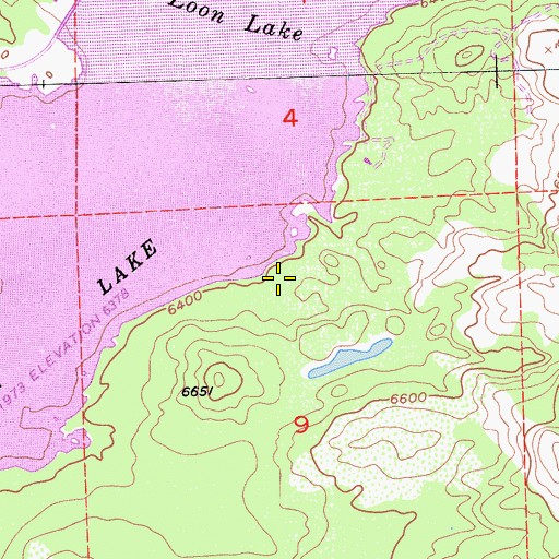 Topographic Map of Loon Lake Camp, CA