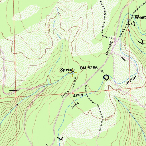 Topographic Map of Corral Spring, CA