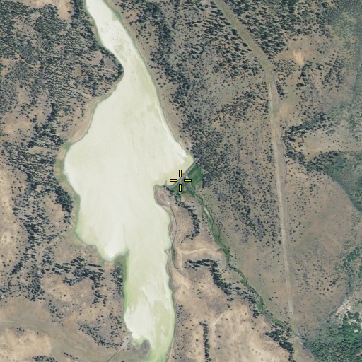 Aerial/Satellite Image of Duncan 149-002 Dam, CA