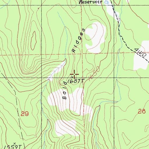 Topographic Map of Bald Ridges, CA