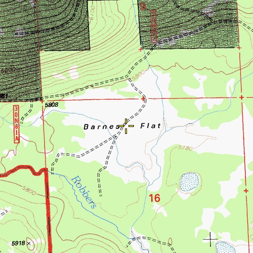 Topographic Map of Barnes Flat, CA