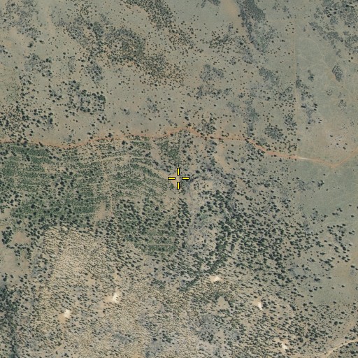 Aerial/Satellite Image of Bull Pine Reservoir, CA