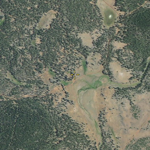 Aerial/Satellite Image of Burgess Flat, CA