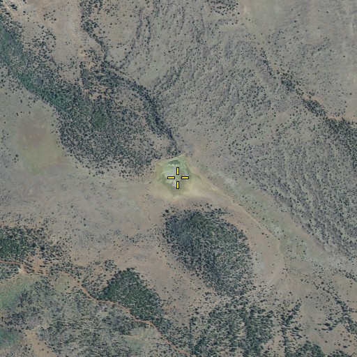 Aerial/Satellite Image of Chico Flat Reservoir, CA