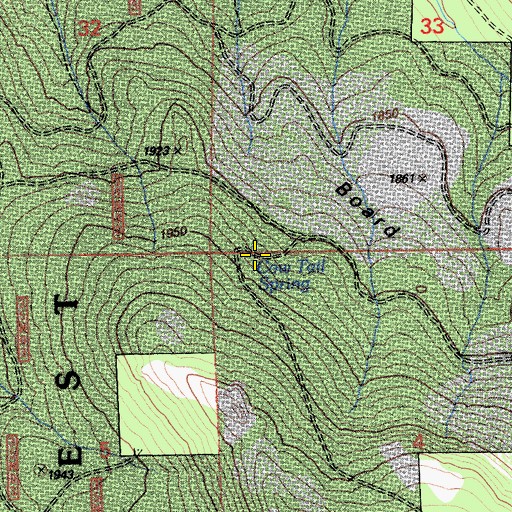 Topographic Map of Cow Tail Spring, CA