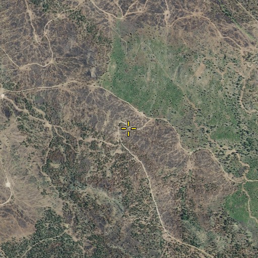 Aerial/Satellite Image of Cow Tail Spring, CA
