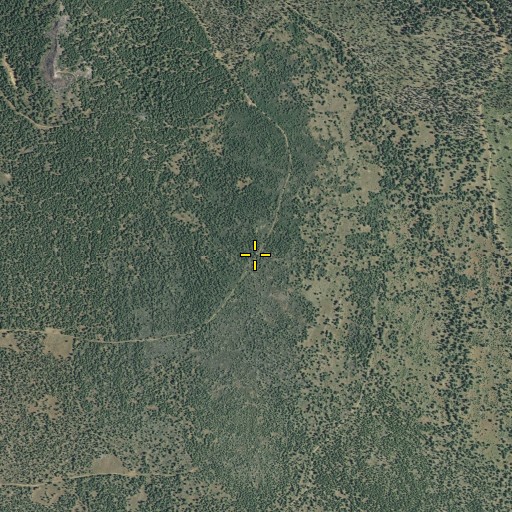 Aerial/Satellite Image of Harvey Mountain Burn, CA