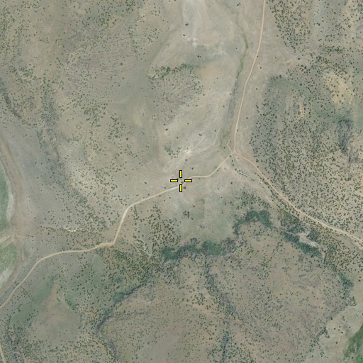 Aerial/Satellite Image of Leavitt Spring, CA