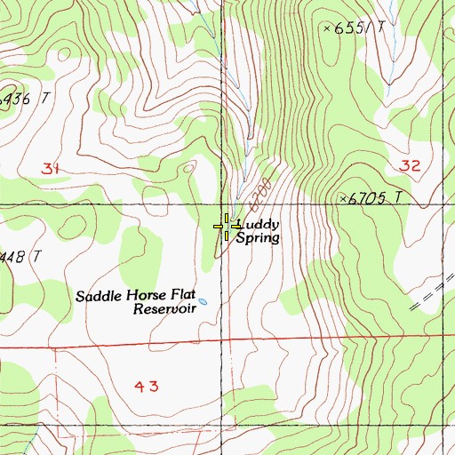 Topographic Map of Luddy Spring, CA