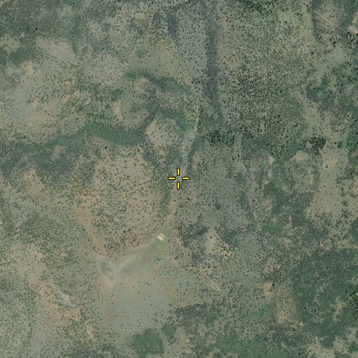 Aerial/Satellite Image of Luddy Spring, CA