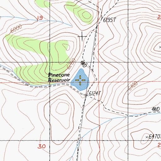 Topographic Map of Pinecone Reservoir, CA