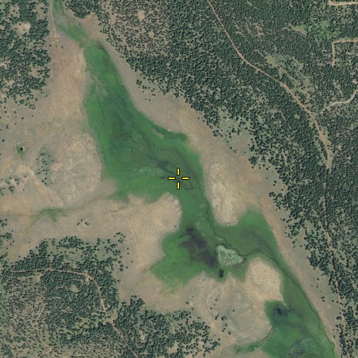 Aerial/Satellite Image of Sweagert Flat, CA