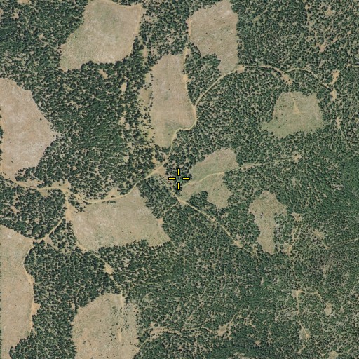 Aerial/Satellite Image of Beartrap Spring, CA