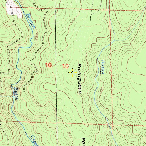 Topographic Map of Portuguese Point, CA