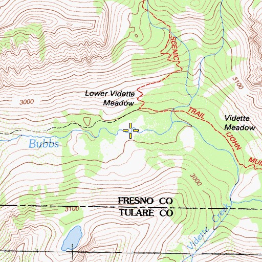 Topographic Map of Lower Vidette Meadow, CA