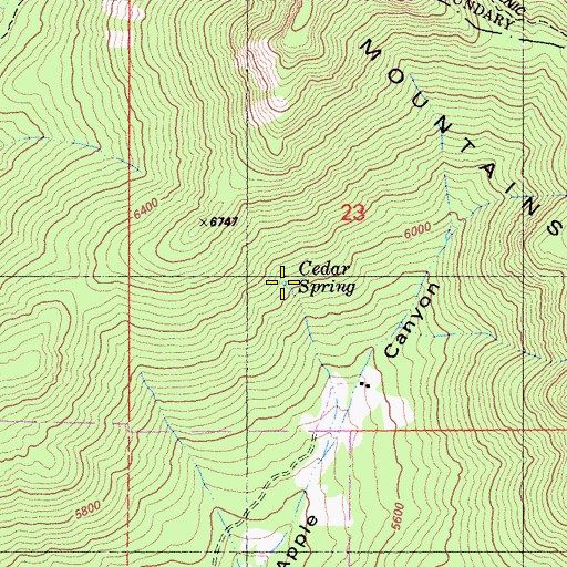 Topographic Map of Cedar Spring, CA