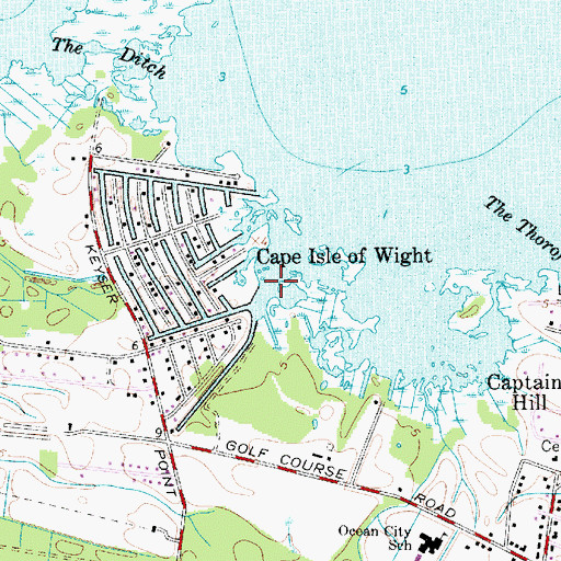 Topographic Map of Octopus Pond, MD