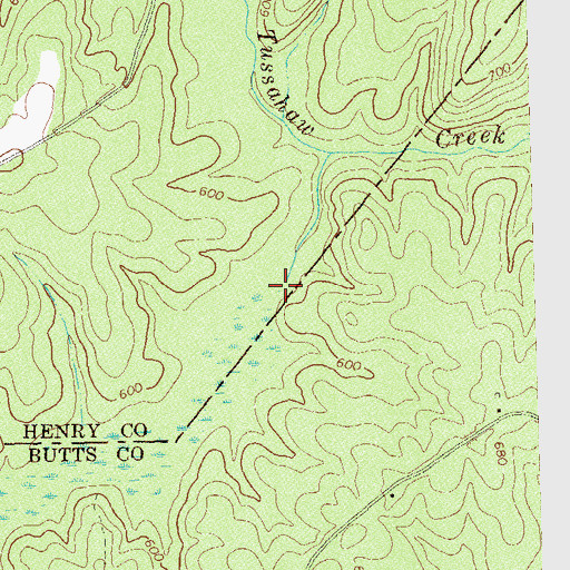 Topographic Map of Spears Ford, GA