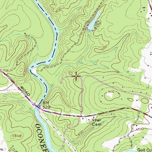 Topographic Map of Barnett Bluffs, GA