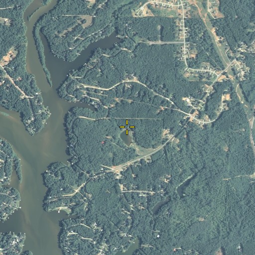 Aerial/Satellite Image of Sherwood Forest, GA