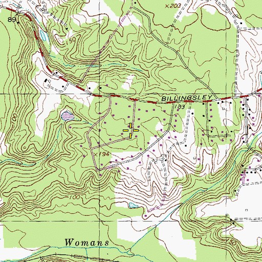 Topographic Map of Billingsley Forest, MD