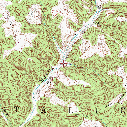 Topographic Map of Arnie Craigo Spring, WV