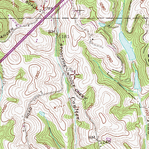 Topographic Map of Reed Spring, WV
