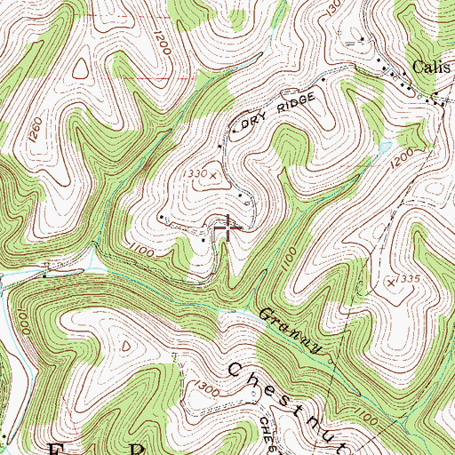 Topographic Map of Ray Williams Spring, WV