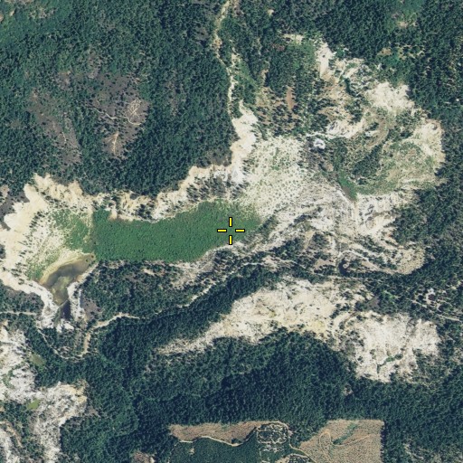 Aerial/Satellite Image of Diggins Loop Trail, CA