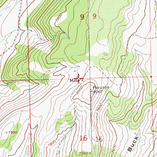Topographic Map of Paint Iron Mine, CO
