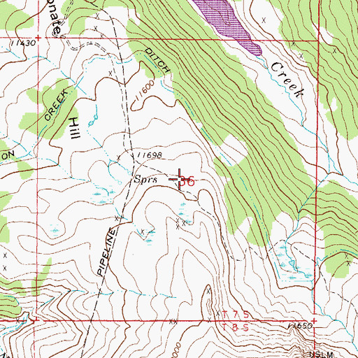 Topographic Map of American Placer Mine, CO