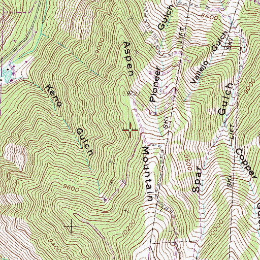 Topographic Map of Newman Mine, CO