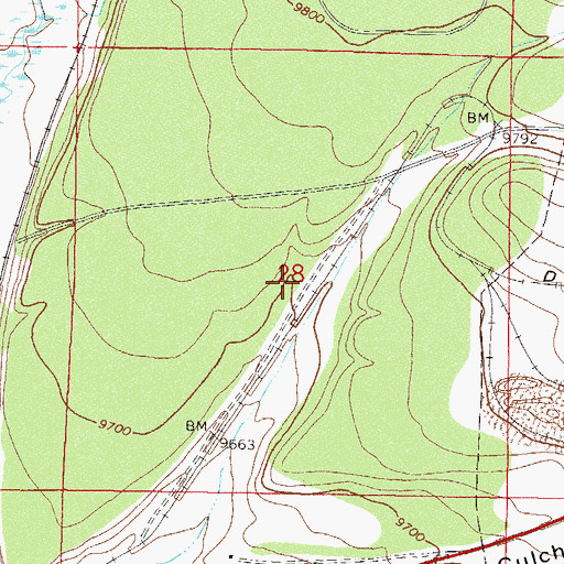 Topographic Map of Burton Placer Mine, CO