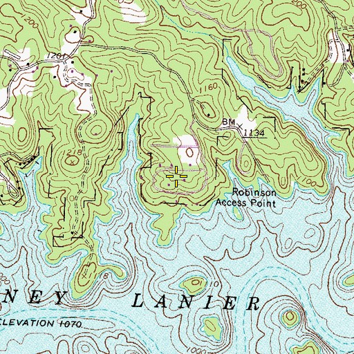 Topographic Map of Cameron Point, GA
