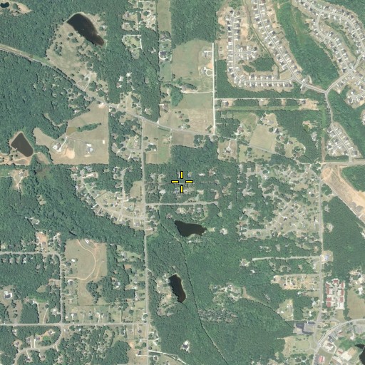 Aerial/Satellite Image of Briarwood Acres, GA