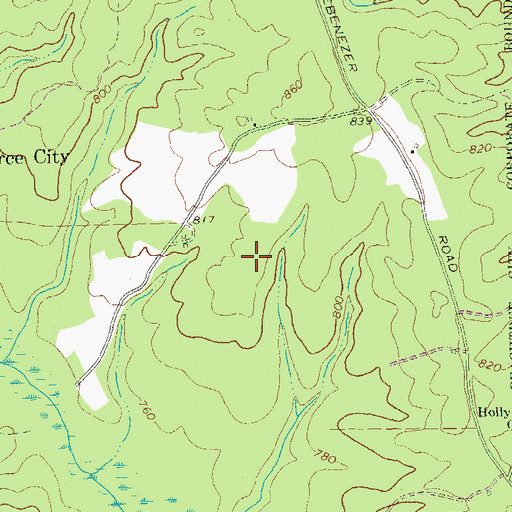 Topographic Map of Evian, GA