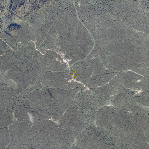 Aerial/Satellite Image of Shortridge School (historical), WV