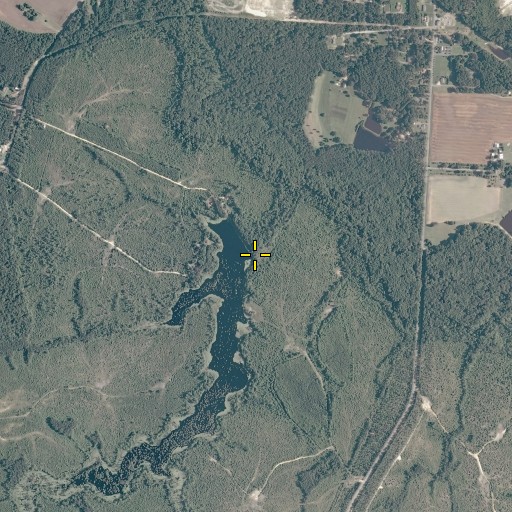 Aerial/Satellite Image of Drumwrights Mill (historical), VA