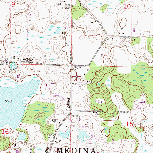 Topographic Map of Medina, MN