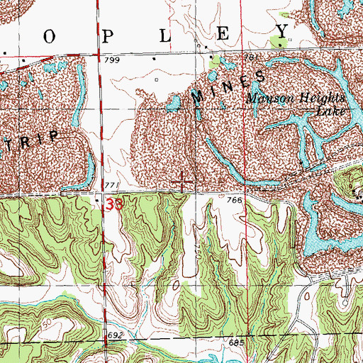 Topographic Map of Bruington Lake, IL
