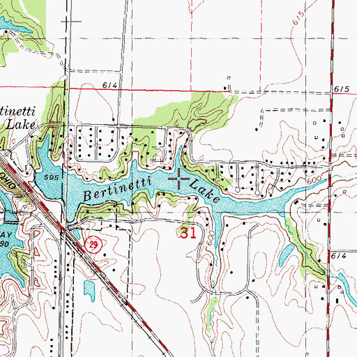 Topographic Map of Bertinetti Lake, IL