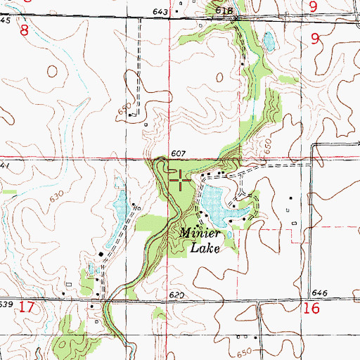 Topographic Map of Dennis Lake, IL