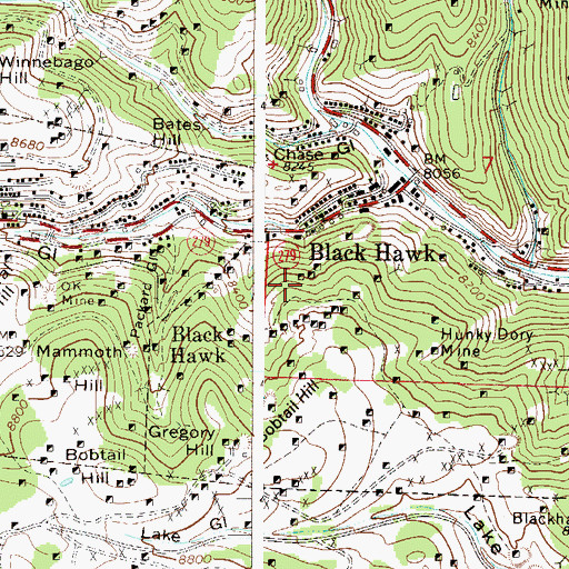 Topographic Map of Fisk Mine, CO